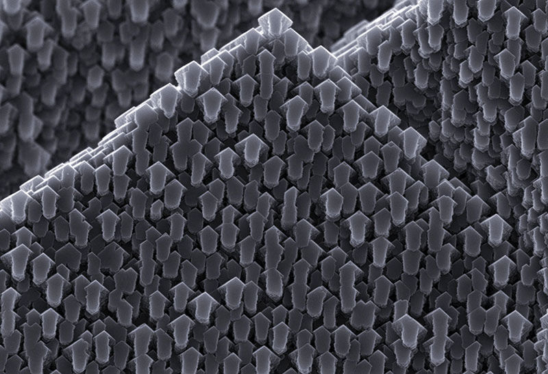 Imagen: David Green/RPS Images for Science